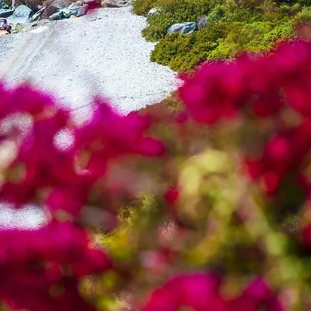 Penelope's Blue Sea Front Residenses Apartament