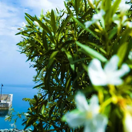 Penelope's Blue Sea Front Residenses